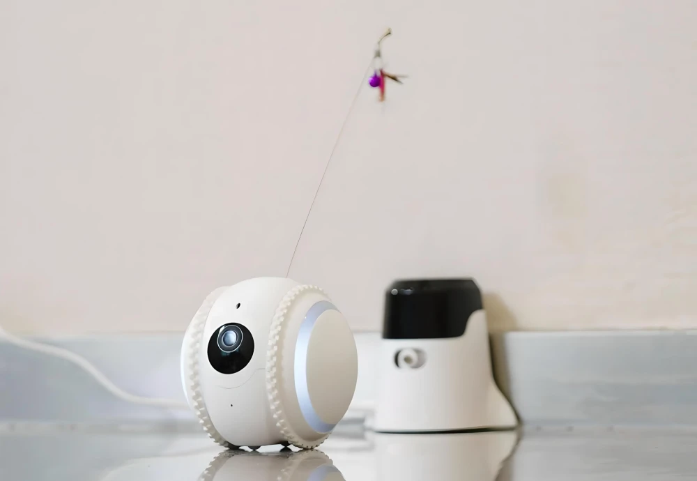 best in home pet camera